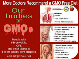 GMO illness