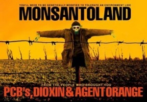 GMO monsanto